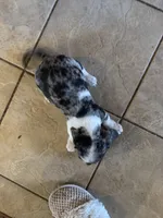 processed/0d7df6fb-7f4c-4f3d-b162-16661f8faeec/listing/e6110bd7-0f21-4157-bee8-a2334ee897a4/fdbb2dac-fe96-465d-aca6-43e6c9279445