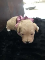 processed/0d8aa12f-2678-48a7-bf89-9b42102658a7/listing/148022a2-718c-4590-a3f8-20f56c4f3f14/a5da4bc4-c5fb-4ba4-8bff-ad877746f1df