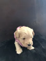 processed/0d8aa12f-2678-48a7-bf89-9b42102658a7/listing/148022a2-718c-4590-a3f8-20f56c4f3f14/f535f278-a524-463b-a38b-799da13e8071