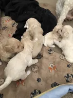 processed/0d8aa12f-2678-48a7-bf89-9b42102658a7/listing/d9bfa2a4-90cd-4b7e-a5a9-8b0839419887/164331d1-5967-46aa-a596-a575beec6a19