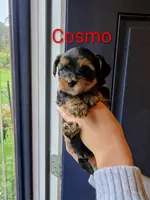 processed/0d8b2b9f-2660-494b-adca-782a9b0a61ec/listing/bc6a94f3-430a-404a-b676-6af9b187638d/e22ca402-2d2c-4392-8be2-72b2c7acde02