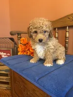 processed/0d949a9f-a6e0-4ffc-90a0-e3a2cc8fbb65/listing/07fb45cd-a235-4c83-8837-b3d3021e23ef/2657ff46-a659-4aea-9ee1-bafe645b5227