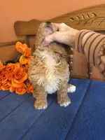 processed/0d949a9f-a6e0-4ffc-90a0-e3a2cc8fbb65/listing/07fb45cd-a235-4c83-8837-b3d3021e23ef/b295dedb-2b89-4d61-a6f2-9a65fa63e741