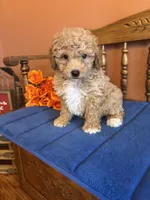 processed/0d949a9f-a6e0-4ffc-90a0-e3a2cc8fbb65/listing/07fb45cd-a235-4c83-8837-b3d3021e23ef/ddd5d267-e4ae-4fe2-92ec-0074dcc0f242