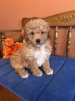 processed/0d949a9f-a6e0-4ffc-90a0-e3a2cc8fbb65/listing/07fb45cd-a235-4c83-8837-b3d3021e23ef/f1957a02-c1f1-4770-ac08-babd465bd679