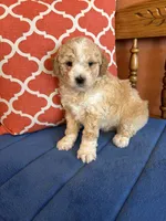 processed/0d949a9f-a6e0-4ffc-90a0-e3a2cc8fbb65/listing/17f0fb75-2a16-4f45-ba09-223e721e08e8/0e4b18f8-2f91-4ff3-8cea-84d48e810252