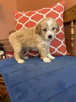 processed/0d949a9f-a6e0-4ffc-90a0-e3a2cc8fbb65/listing/17f0fb75-2a16-4f45-ba09-223e721e08e8/3ffe1f65-9b72-47fd-8859-7004019ae4ff