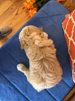 processed/0d949a9f-a6e0-4ffc-90a0-e3a2cc8fbb65/listing/17f0fb75-2a16-4f45-ba09-223e721e08e8/46aa5852-5a0f-4e6e-88a2-2f78b8f8e5d3