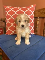 processed/0d949a9f-a6e0-4ffc-90a0-e3a2cc8fbb65/listing/17f0fb75-2a16-4f45-ba09-223e721e08e8/6db27a88-c465-43ff-a941-3106677e4ea5