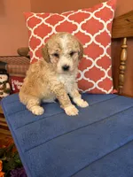 processed/0d949a9f-a6e0-4ffc-90a0-e3a2cc8fbb65/listing/17f0fb75-2a16-4f45-ba09-223e721e08e8/880b1183-1404-447e-91a9-3a09f45d1590