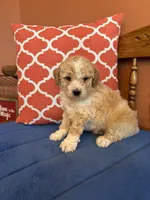 processed/0d949a9f-a6e0-4ffc-90a0-e3a2cc8fbb65/listing/17f0fb75-2a16-4f45-ba09-223e721e08e8/a6b471a8-263f-4c2c-891c-23b8cfb3371d