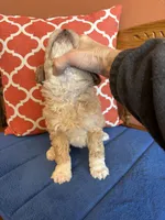 processed/0d949a9f-a6e0-4ffc-90a0-e3a2cc8fbb65/listing/17f0fb75-2a16-4f45-ba09-223e721e08e8/e6798958-7a61-44b7-8bab-539c4b1d727e