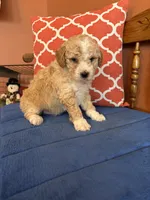 processed/0d949a9f-a6e0-4ffc-90a0-e3a2cc8fbb65/listing/17f0fb75-2a16-4f45-ba09-223e721e08e8/f3a5aa5d-c704-467c-8809-31066c38bf55