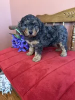 processed/0d949a9f-a6e0-4ffc-90a0-e3a2cc8fbb65/listing/7ecae169-7a3f-4c64-9840-7a189036835f/165baf3e-0625-4c27-a18c-3c2c7e76c51d