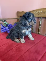 processed/0d949a9f-a6e0-4ffc-90a0-e3a2cc8fbb65/listing/7ecae169-7a3f-4c64-9840-7a189036835f/4d4d6b4d-ba5c-4dd0-9297-6a61eb0b5a38