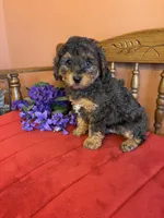 processed/0d949a9f-a6e0-4ffc-90a0-e3a2cc8fbb65/listing/7ecae169-7a3f-4c64-9840-7a189036835f/580650e9-6c55-40a9-810e-face2376d8ce