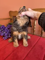 processed/0d949a9f-a6e0-4ffc-90a0-e3a2cc8fbb65/listing/7ecae169-7a3f-4c64-9840-7a189036835f/70f70b29-45f2-4d87-bac9-99896959f9d9