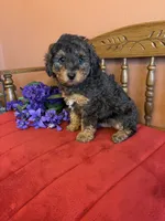 processed/0d949a9f-a6e0-4ffc-90a0-e3a2cc8fbb65/listing/7ecae169-7a3f-4c64-9840-7a189036835f/9d0f1f84-1688-47ba-947d-128e7879ab2f