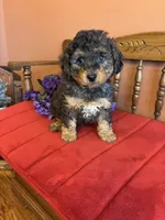 processed/0d949a9f-a6e0-4ffc-90a0-e3a2cc8fbb65/listing/7ecae169-7a3f-4c64-9840-7a189036835f/ac5be12b-6b64-4e23-a3e0-98821c9adb6e