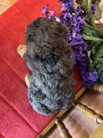 processed/0d949a9f-a6e0-4ffc-90a0-e3a2cc8fbb65/listing/7ecae169-7a3f-4c64-9840-7a189036835f/bde6c1bd-5a17-48dd-96b6-3df6d196cf65