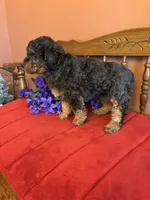 processed/0d949a9f-a6e0-4ffc-90a0-e3a2cc8fbb65/listing/7ecae169-7a3f-4c64-9840-7a189036835f/c6c844cf-c1d2-4f20-bf1a-7c1dfb5fdae3