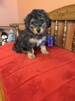 processed/0d949a9f-a6e0-4ffc-90a0-e3a2cc8fbb65/listing/7ecae169-7a3f-4c64-9840-7a189036835f/edebf5d1-f99d-485d-917d-408b4cdf3d0f