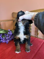 processed/0d949a9f-a6e0-4ffc-90a0-e3a2cc8fbb65/listing/8edc2ae9-22d7-44e9-9131-055b0dfb6c7d/12fe8445-2524-46dc-befe-47b7f6b325c9