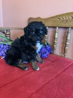 processed/0d949a9f-a6e0-4ffc-90a0-e3a2cc8fbb65/listing/8edc2ae9-22d7-44e9-9131-055b0dfb6c7d/1819e258-a2e4-44f1-a720-4f2f08027465