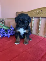 processed/0d949a9f-a6e0-4ffc-90a0-e3a2cc8fbb65/listing/8edc2ae9-22d7-44e9-9131-055b0dfb6c7d/57cd8e7b-1a9a-4359-9a3b-4928c8d3e01e