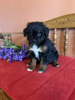 processed/0d949a9f-a6e0-4ffc-90a0-e3a2cc8fbb65/listing/8edc2ae9-22d7-44e9-9131-055b0dfb6c7d/596af65f-1d08-43fc-b99a-c0adbaa317fa