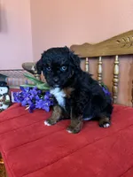 processed/0d949a9f-a6e0-4ffc-90a0-e3a2cc8fbb65/listing/8edc2ae9-22d7-44e9-9131-055b0dfb6c7d/bf4d339d-746b-43b2-b3f2-02a1673c5141