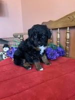 processed/0d949a9f-a6e0-4ffc-90a0-e3a2cc8fbb65/listing/8edc2ae9-22d7-44e9-9131-055b0dfb6c7d/dab8f86d-67a6-4ada-b7f7-db655e565e51