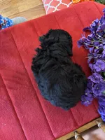 processed/0d949a9f-a6e0-4ffc-90a0-e3a2cc8fbb65/listing/8edc2ae9-22d7-44e9-9131-055b0dfb6c7d/ff9d2f3b-9359-4b3b-b6c5-6d5fbd05e0dc