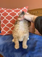 processed/0d949a9f-a6e0-4ffc-90a0-e3a2cc8fbb65/listing/c143ddb8-dfd0-4288-b32b-0fe4c9c0c1d4/40c63977-91e5-4065-b57a-062be5bf8d56