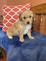 processed/0d949a9f-a6e0-4ffc-90a0-e3a2cc8fbb65/listing/c143ddb8-dfd0-4288-b32b-0fe4c9c0c1d4/72505014-1438-4a65-ac34-6f9a42f08225