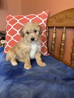 processed/0d949a9f-a6e0-4ffc-90a0-e3a2cc8fbb65/listing/c143ddb8-dfd0-4288-b32b-0fe4c9c0c1d4/bd4ed48c-e111-4e34-bd50-5648606aa33a