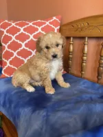 processed/0d949a9f-a6e0-4ffc-90a0-e3a2cc8fbb65/listing/c143ddb8-dfd0-4288-b32b-0fe4c9c0c1d4/d36c16ca-6cdc-46bd-aacc-dc0ec6544a09