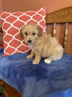 processed/0d949a9f-a6e0-4ffc-90a0-e3a2cc8fbb65/listing/c143ddb8-dfd0-4288-b32b-0fe4c9c0c1d4/df6b23db-6ab3-4d59-bcc0-7afb3c2e4d90