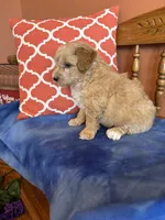 processed/0d949a9f-a6e0-4ffc-90a0-e3a2cc8fbb65/listing/c143ddb8-dfd0-4288-b32b-0fe4c9c0c1d4/efa925dc-0fa1-421e-8809-486a2d65fdcd