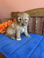 processed/0d949a9f-a6e0-4ffc-90a0-e3a2cc8fbb65/listing/d5bed481-941e-4e44-bf3d-11305c4eada0/3c02fe9e-5b80-4d7a-9bff-5a6d46cf05a7