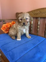 processed/0d949a9f-a6e0-4ffc-90a0-e3a2cc8fbb65/listing/d5bed481-941e-4e44-bf3d-11305c4eada0/73b0df96-3717-41c0-b63e-360a06afd1b2