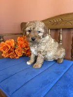 processed/0d949a9f-a6e0-4ffc-90a0-e3a2cc8fbb65/listing/d5bed481-941e-4e44-bf3d-11305c4eada0/d121c1b3-f6a0-4b30-8477-2f127a5eea9f