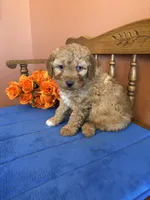 processed/0d949a9f-a6e0-4ffc-90a0-e3a2cc8fbb65/listing/d5bed481-941e-4e44-bf3d-11305c4eada0/d4ce2e9f-6a06-4263-bbb6-e59163a3bc60