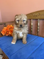 processed/0d949a9f-a6e0-4ffc-90a0-e3a2cc8fbb65/listing/d5bed481-941e-4e44-bf3d-11305c4eada0/e9c18ad1-fc40-4563-9882-6f629a0d24b7