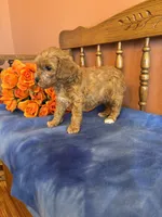 processed/0d949a9f-a6e0-4ffc-90a0-e3a2cc8fbb65/listing/d61b6dec-02d0-45a2-9910-460a950ffa1f/076f4d8f-06fe-4dca-9619-a3f18987d24e