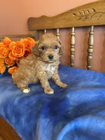 processed/0d949a9f-a6e0-4ffc-90a0-e3a2cc8fbb65/listing/d61b6dec-02d0-45a2-9910-460a950ffa1f/0e0b703e-2176-416e-aba8-dbc71667db53