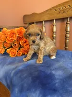 processed/0d949a9f-a6e0-4ffc-90a0-e3a2cc8fbb65/listing/d61b6dec-02d0-45a2-9910-460a950ffa1f/1428d9e2-1dbf-4aff-a382-19b9f7ec77f3