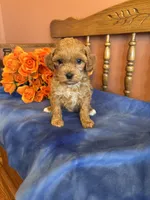 processed/0d949a9f-a6e0-4ffc-90a0-e3a2cc8fbb65/listing/d61b6dec-02d0-45a2-9910-460a950ffa1f/5d3bcc4b-a4eb-495b-8dc4-9b03a98a4752