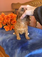 processed/0d949a9f-a6e0-4ffc-90a0-e3a2cc8fbb65/listing/d61b6dec-02d0-45a2-9910-460a950ffa1f/7ab018ed-c7fe-40ec-af6a-1c35374e03cd