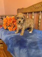 processed/0d949a9f-a6e0-4ffc-90a0-e3a2cc8fbb65/listing/d61b6dec-02d0-45a2-9910-460a950ffa1f/b9f466a0-0efc-48e9-8793-59e5b736c492